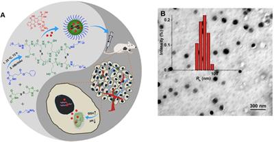 Nanogels as Novel Nanocarrier Systems for Efficient Delivery of CNS Therapeutics